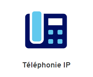 Téléphonie IP